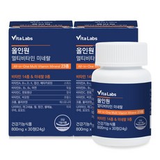 비타랩스 올인원 멀티비타민 미네랄 23종 종합 영양제, 2개, 30정