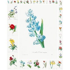 디커플리지 페이퍼 팩(35매 6 x8 ) 공예 및 스크랩북을 위한 아름다운 장미의 놀라운 사실적인 그림 FLONZ 빈티지 일러스트레이션 카드