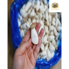 국내산 새송이버섯 속금 꼬마 새송이버섯, 1개, 꼬마새송이 2kg