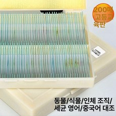 프레파라트 48종 표본 실험도구 식물 현미경 체험, 200장 유리 표본 - 인체 조직, 기본 색상
