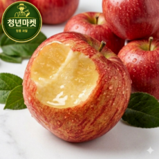 [사과판매1위] 청년과일마켓 초고당도 청송 부사사과, 1박스, 10kg