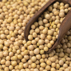 국산 백태 1kg 대두 메주콩 청국장 두부, 1개