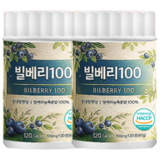 빌베리 농축분말 100 % 정 대용량, 2개, 120정