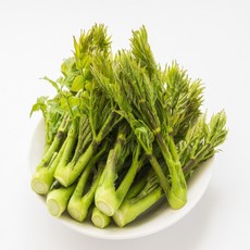 국내산 참두릅 제철 생두릅 산지직송 신선 봄나물 특상품, 1kg, 1개