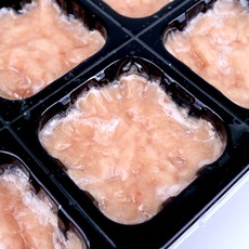 유기농 닭고기 다짐육 300g(이유식용) 냉동, 이유식용 다짐육 300g