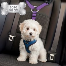 펫블리스 강아지 차량용 길이조절 안전벨트 헤드레스트 고정 Y형 리드줄, 1개, 퍼플
