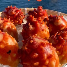 통영호야수산 제철 손질멍게 깐멍게 깐멍개, 1개, 손질된 냉동 멍게 1kg(실중량 800g)