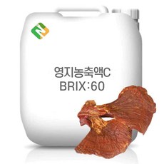 영지농축액C 60Brix 200g 샘플, 1개