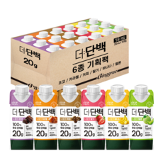 빙그레 더단백 드링크 6종 기획(초코 카라멜 커피 딸기 바나나 멜론) 총 18개, 250ml