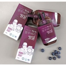 베스트바이서울 정선 천연 토종 블루베리 꿀 380g, 1개