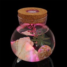 에스우디자인 LED 마리모 유리병 10x11cm 수생식물