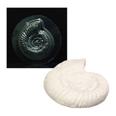 석고로 고생물 화석만들기용 모형틀 5P 초등교구 과학키트 체험수업, 2세트, 암모나이트