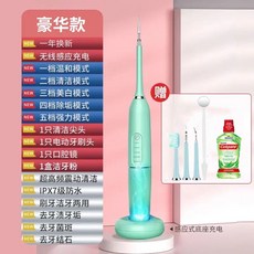 sunuo 스마트 휴대용 제거 치석 세정기 잇몸 스케일링 물치실 셀프 구강, 1, B. 하늘색 일반 형 가지 기능