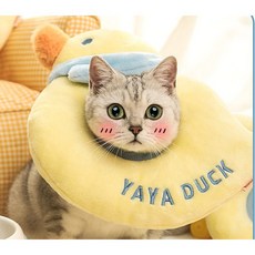 PCTN 냥댕이 펫 넥 카라 고양이 목 보호대 넥카라m 애견 깔때기 목 카라 Pet Neck Collar, PCTN 오리, 1개