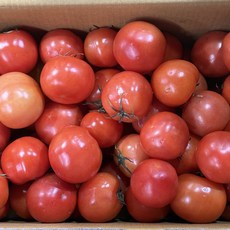 [못난이]농진사 완숙 찰 토마토 주스갈이용 소스용 랜덤과, 1박스, 10kg