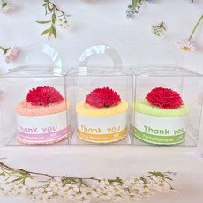 카네이션 극세사 핸디타올 플라스틱케이스, 1개, 연두