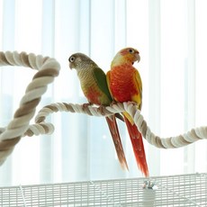 앵무새 횃대 꽈배기 5종 철사 길이 다양 모양 자유 새장 새용품 로프 와이어, 1개, 꽈배기 150cm