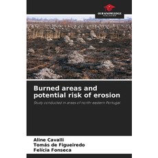 (영문도서)Burned areas and potential risk of erosion Paperback, Our Knowledge Publishing, English, 9786206806967