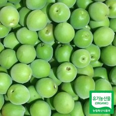 기타 [산지직송/6월초이후 순차출고] 광양 유기농 청매실 10kg(상/S), 상세페이지참조