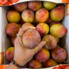 [타임세일] 대왕 초고당도 자두, 1박스, 1kg