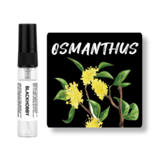 [3+1] 블랙하비 금목서 베스트 10종 드레스퍼퓸 / 사탕수수 발효 베이스 사용, 1개, 4ml, 311. 오스만투스