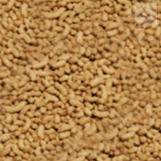 조은하나 붕어 비단잉어 사료