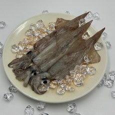 라꼼제이 동해안 제철 통한치 비손질 급냉 한치숙회 한치튀김 한치버터구이, 1개, 동해안 급냉 한치 1팩 1kg 15미 내외