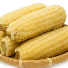 진생마트 쫀득쫀득 찰옥수수 벌크 백찰, 250g 내외, 20개