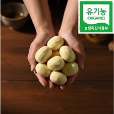 (정안) 국내산 유기농 깐밤 (10/9 순차배송), 1개