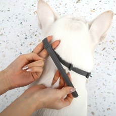 대형 진드기 해충방지 강아지 목걸이