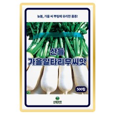 산들 가을 알타리무 씨앗 500립 상품성 좋은 김장 알타리무씨 종자, 1개