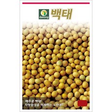 다농 백태 씨앗 30g, 1개