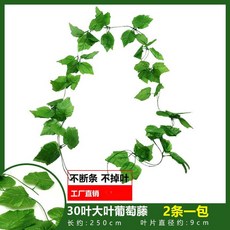仿真葡萄葉藤蔓爬山虎藤條，常青藤綠蘿植物假綠葉吊頂裝飾，綠植牆壁裝飾, 特價款30葉大號彩印葡萄藤（2條裝）, 1個