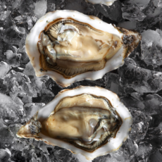 자연산 통영 국내산 굴 삼배체굴 당일채취 당일배송, 1박스, 삼배체, 2kg