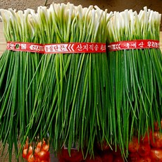 초록농장 알싸한 맛이 일품인 국내산 깐쪽파, 1kg, 1개