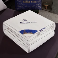 호주양모 힐튼 이불 95% 화이트 구스다운 두꺼운 따뜻한 겨울 싱글 더블 기숙사 코어 담요 봄 가을