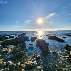 P老闆水族 海水缸專用天然海水 1500毫升, 1個, 1500ML