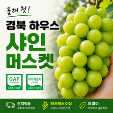 [ 직팜 ] 산지직송 고당도 특품 18브릭스 샤인머스켓 씨없는포도, 1박스, 1 kg (18brix)