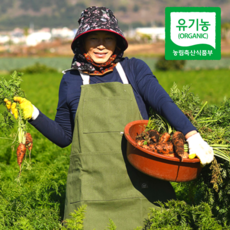 제주 햇당근 흙당근 구좌당근, 1개, 3kg (특품)