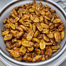 수산잇츠 냉동 번데기 300g, 1개