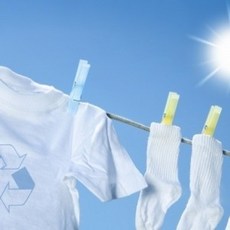 [CPL 영국] 프래그런스 오일 클린코튼 CLEAN COTTON 20ml50ml100ml, 20ml, 1개