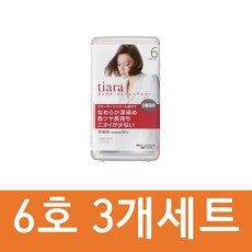 시세이도 티아라 염색약 40g 3개세트 3호 4호 5호 6호 크림 헤어컬러 새치염색약 회색 트리트먼트 칼라린스 자연갈색