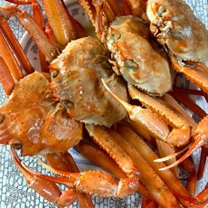 국내산 홍게 프리미엄(수율 75%이상) 2kg ggu+15625Vk