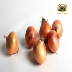 국내산 햇 양파 무안 양파, 1개, 양파 특대 10kg