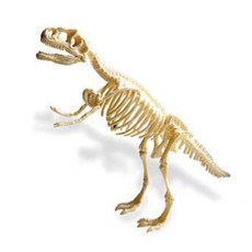 공룡화석발굴(복원)(티라노사우르스) MST-1557, B형