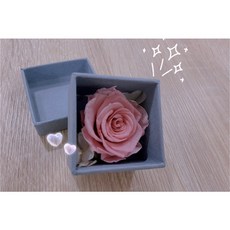 H&T 永生花禮盒 韓風永生花 戒子盒