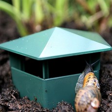 더가 달팽이 집 달팽이사육기