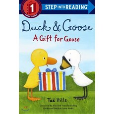 Duck & Goose a Gift for Goose, Schwartz & Wade Books