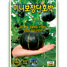 미니보장단호박 씨앗 당도높은 소과종 미니 단호박 종자 10립 ks, 1개