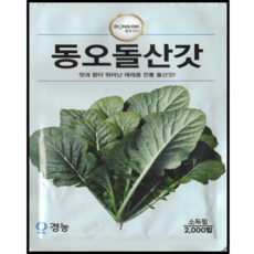 동오시드 동오 돌산갓 씨앗 재래종 전통 갓씨앗 김치용 갓 재배용 2000립, 1개